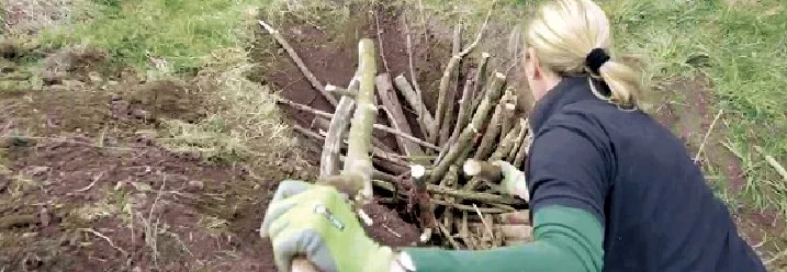 Person baut mit Holzstämmen